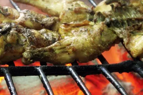 Frango no Churrasco (Aviário)
