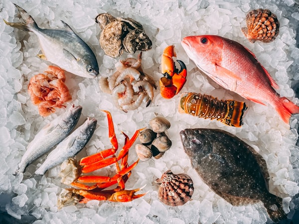 Cozido de Ovas de Corvina