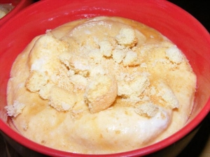 Baba de Camelo